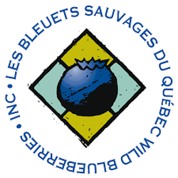 Uisne Congelation St-bruno