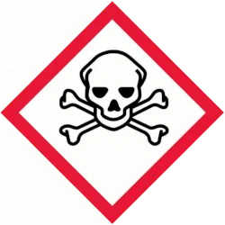 Pictogramme SGH — Toxicité aiguë (tête de mort)