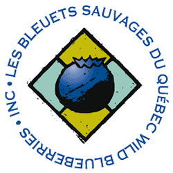 les bleuets sauvages du québec